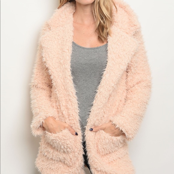 🌿LAST ONE🌿Blush Pink Faux Fur Teddy Bear Coat - Picture 2 of 7